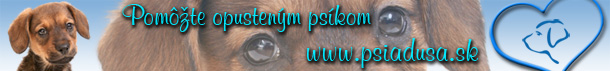 banner.jpg
