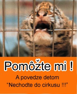 HELP_ME_!!!.jpg