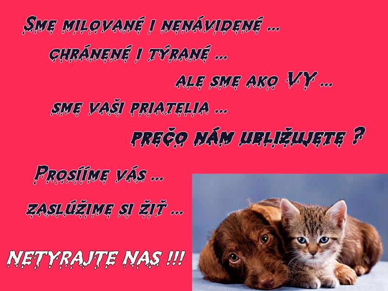 stop%20tyraniu!!!.jpg